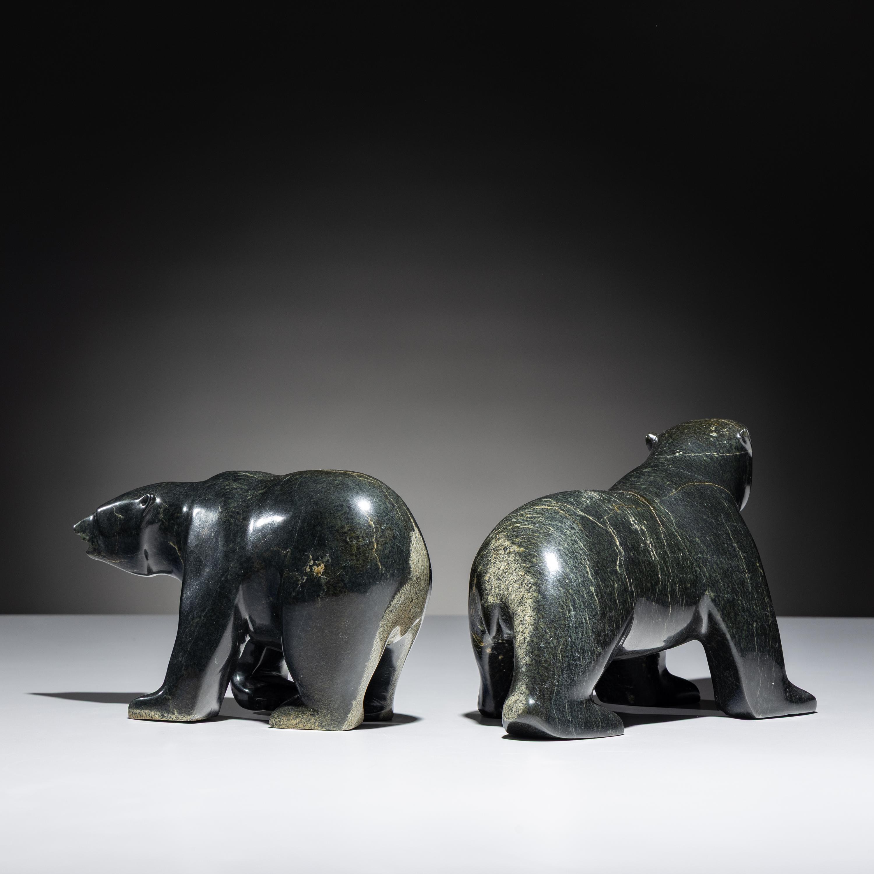 Bears