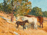 Cedar Pastures