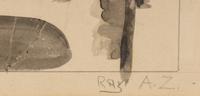 Ray A.Z.
