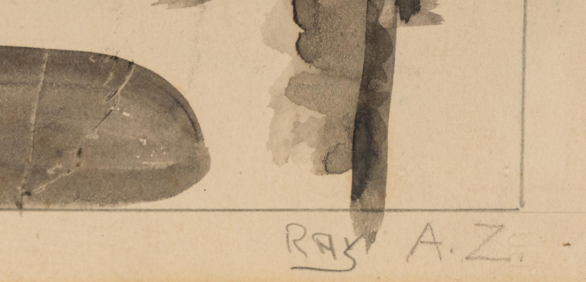 Ray A.Z.