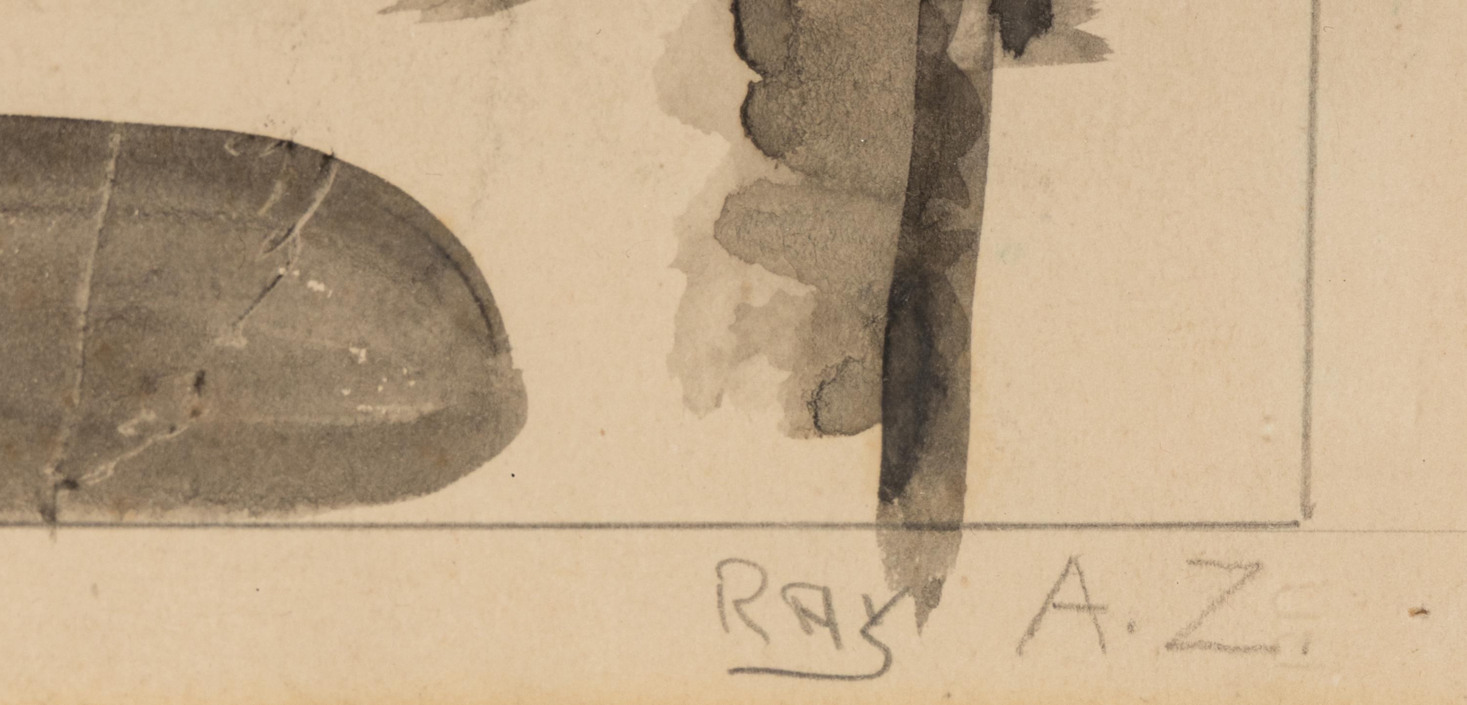 Ray A.Z.