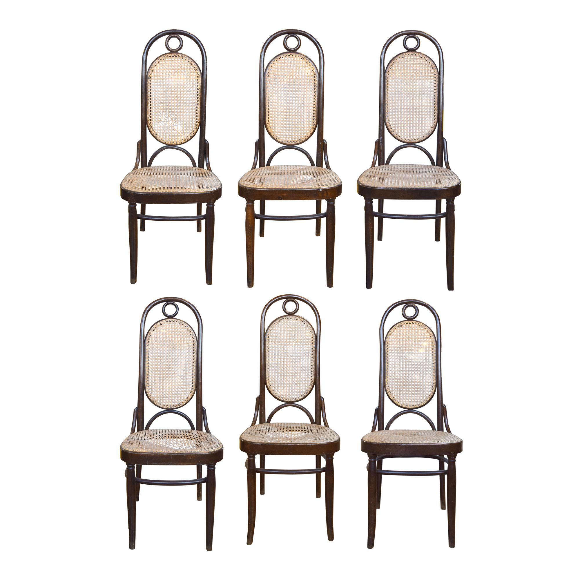 A Set of Six Bentwood and Cane Chairs 17" W x 16.5" D x 44.5" H, seat height 18" — Austria, Circa 1900