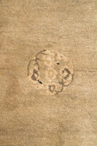 A Chinese Wool Rug