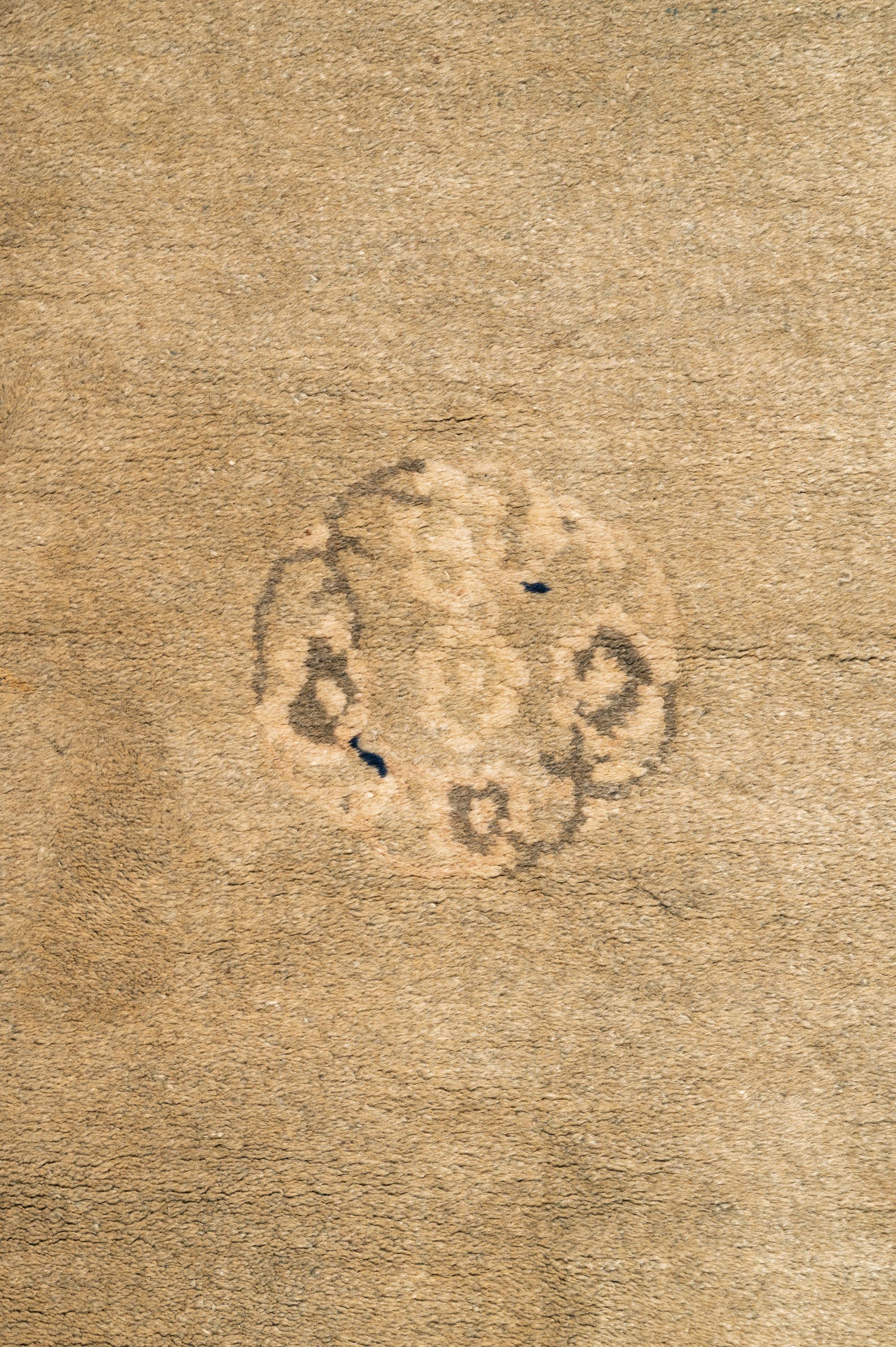 A Chinese Wool Rug