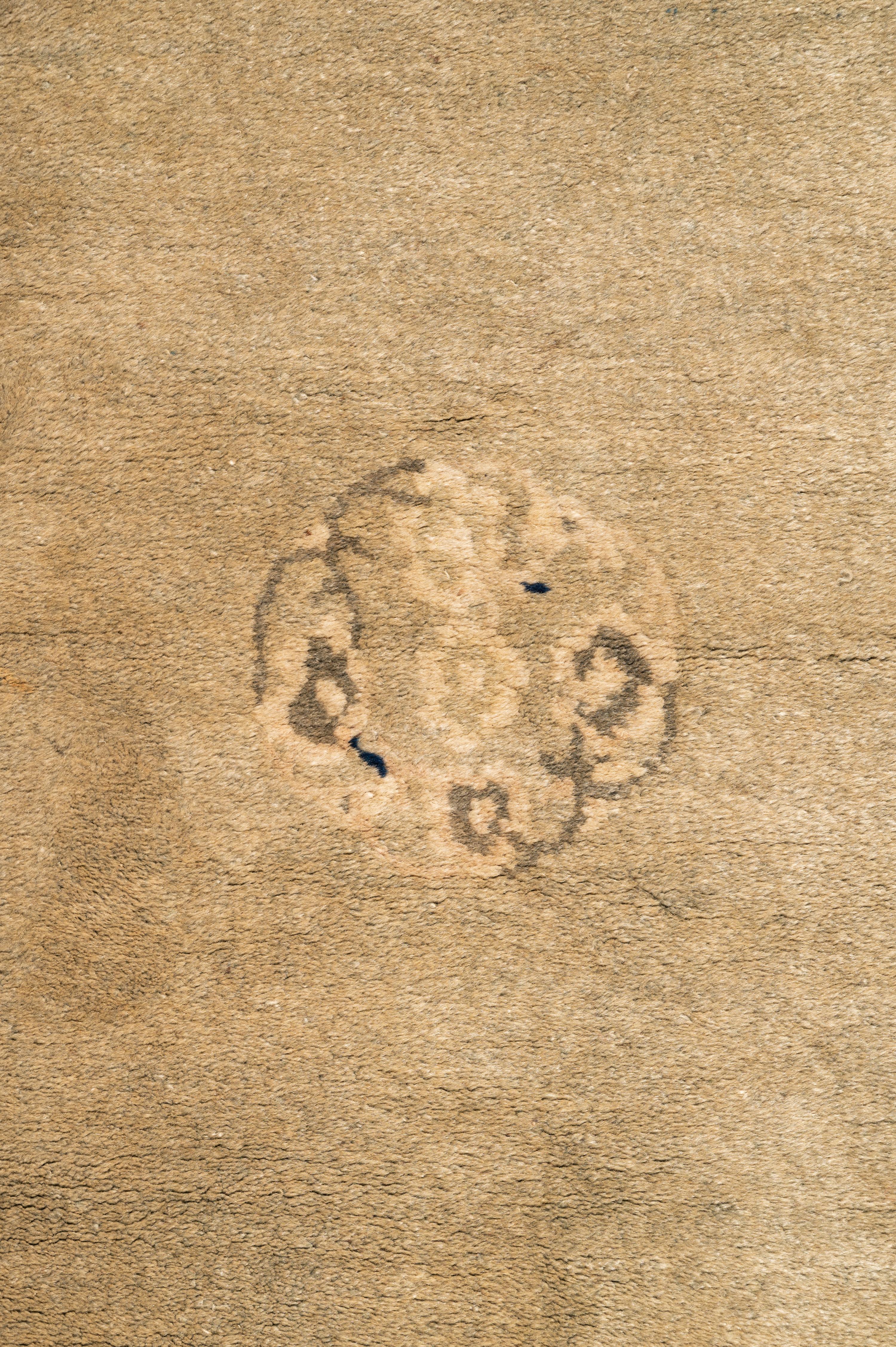 A Chinese Wool Rug