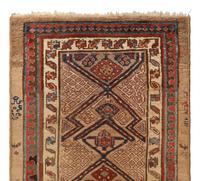 A Northwest Persian Runner