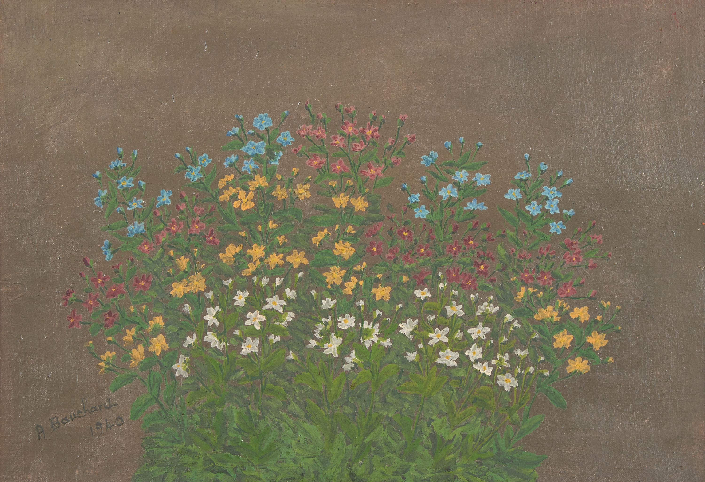 Les Myosotis