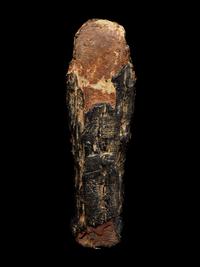 An Egyptian Mummified Falcon