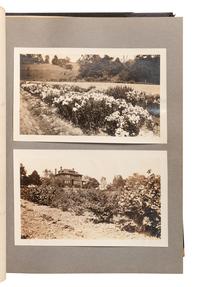 [FLOWERING PLANTS]. A group of 10 works, including:
