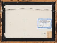Three Framed Groups of Lepidopterological Specimens