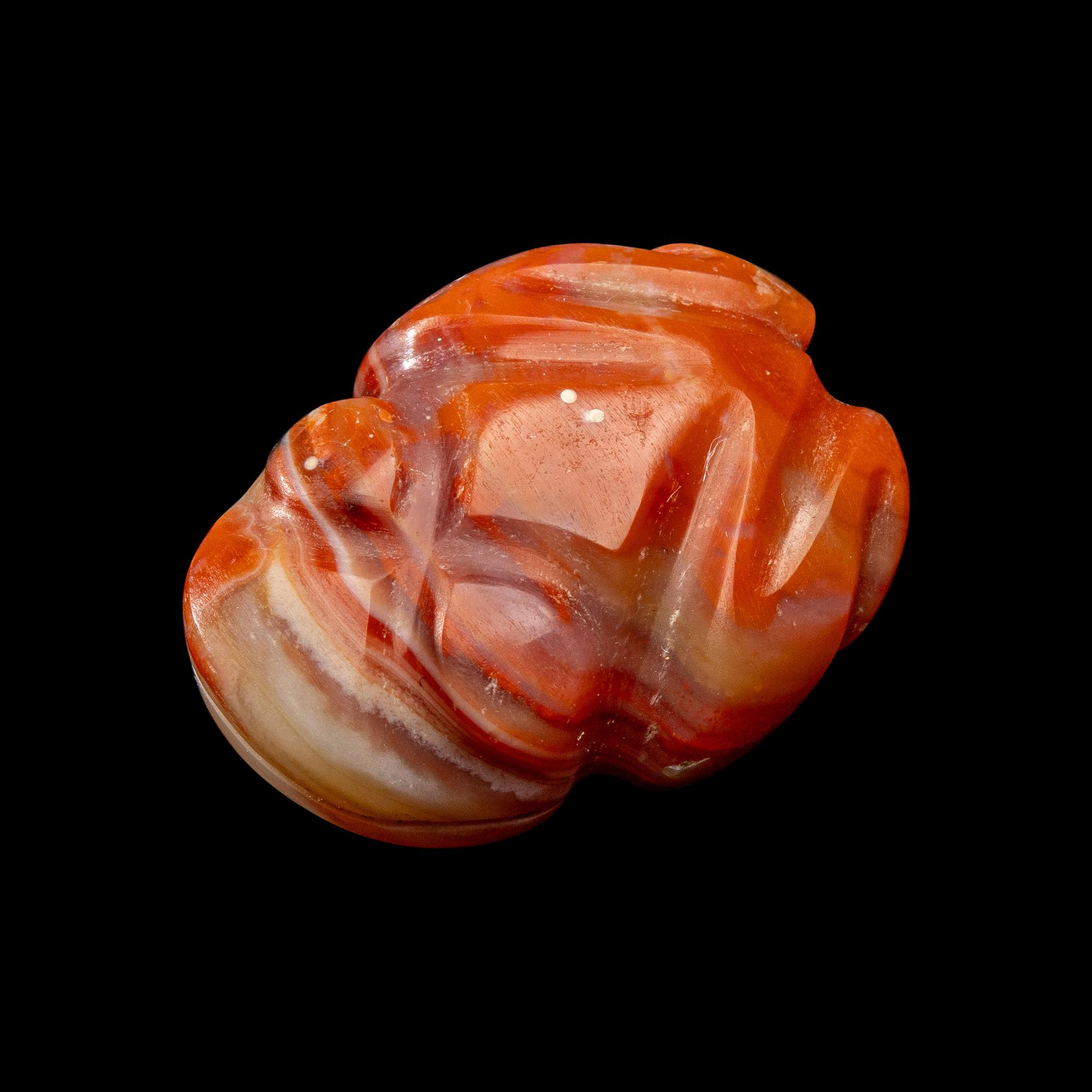 A Costa Rican Carnelian Frog Pendant