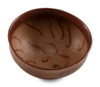 Ohkay Owingeh Redware Pottery Bowl