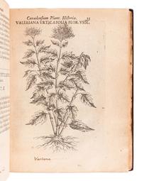 CORNUT, Jacques Philippe (1606-1651). Canadensium plantarum, aliarúnque nondum editarum historia cui adiectum est ad calcem enchiridion botanicum parisiense . Paris: Simon le Moyne, 1635.