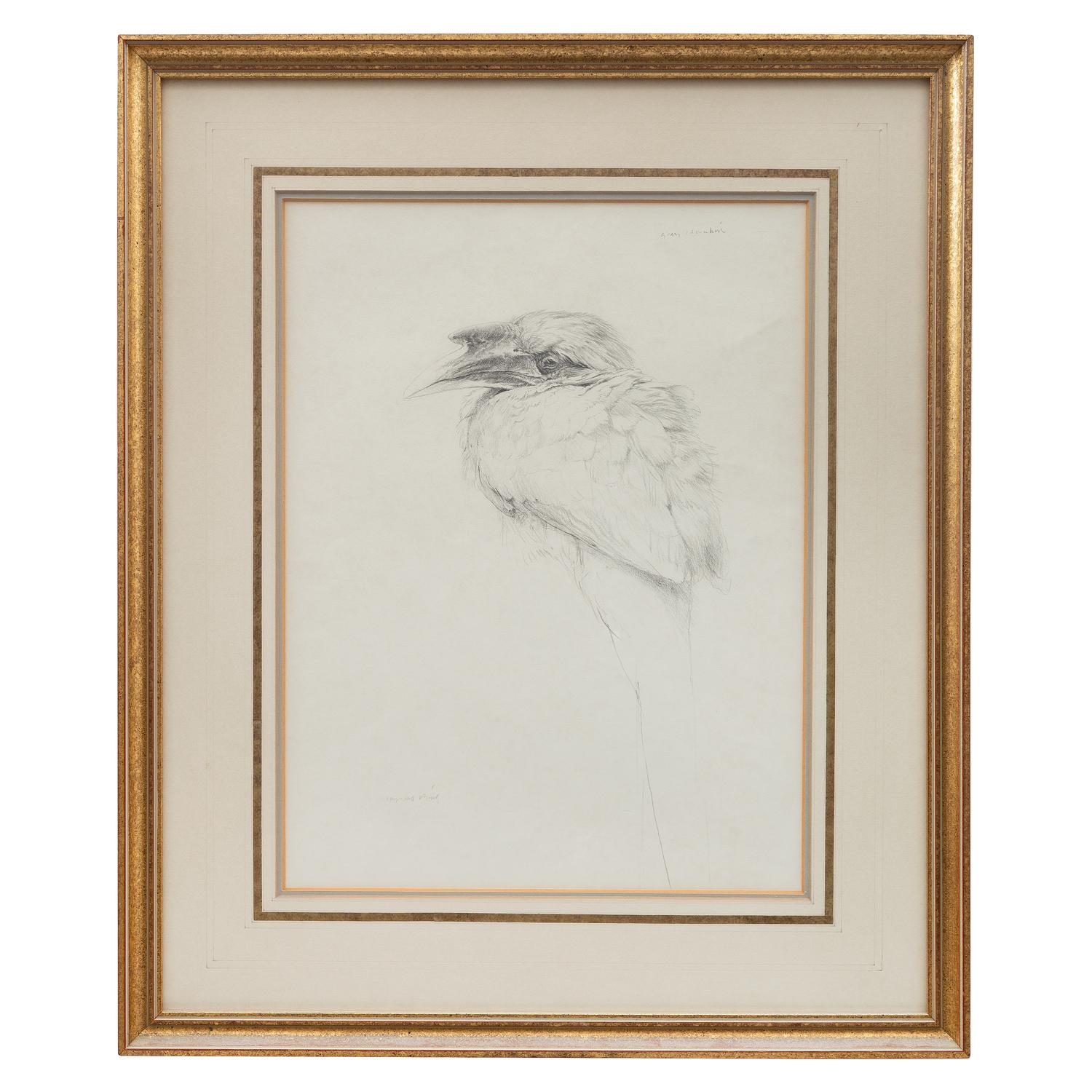 Raymond Harris Ching (New Zealand, b. 1939) — Grey Hornbill, 1978