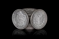 A Group of Thirteen Morgan $1 Coins