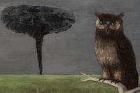 Owl and Tornado