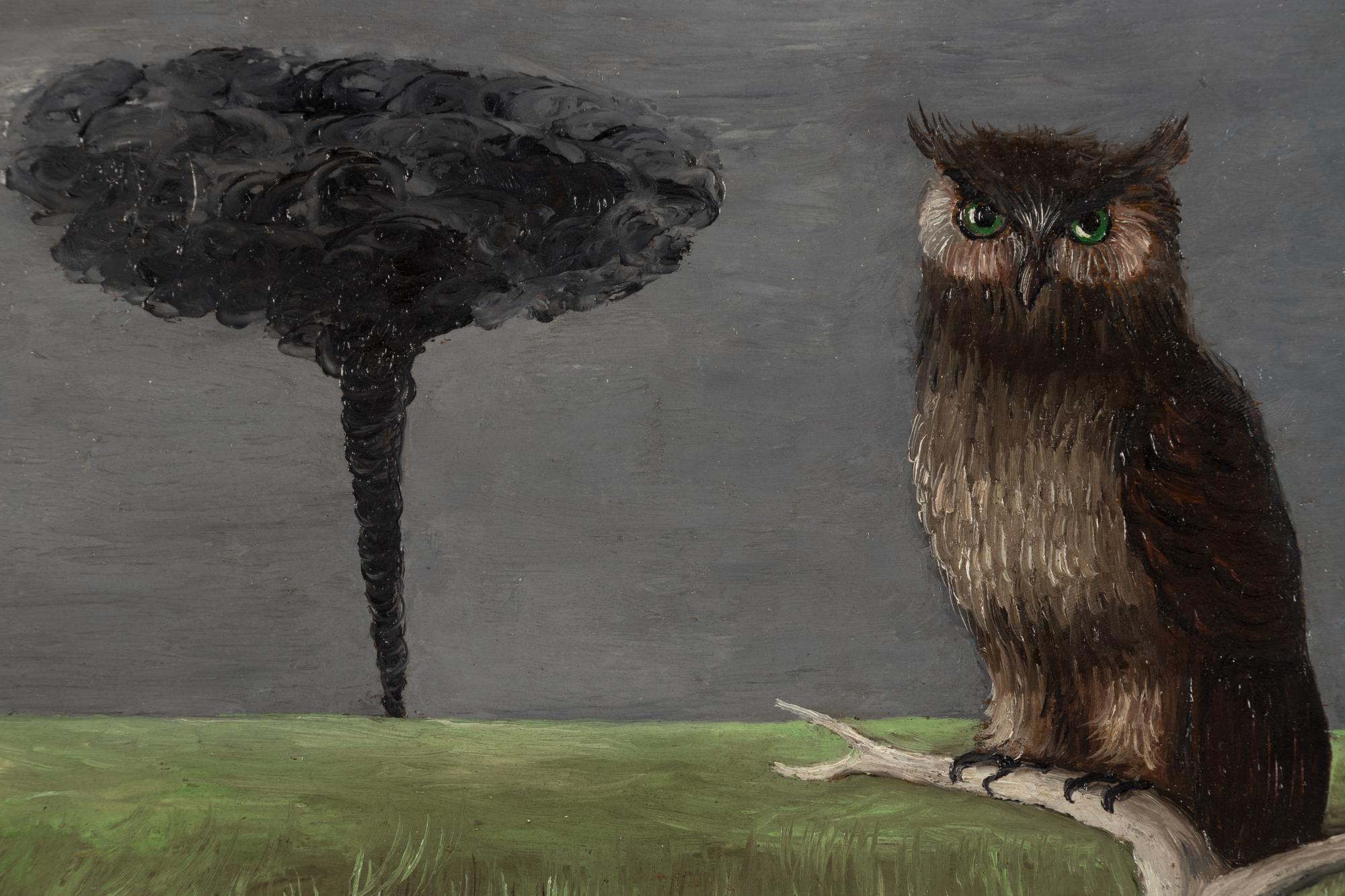 Owl and Tornado