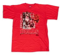 A Group of Assorted Chicago Bulls Signed Autograph Vintage Shirts (Beckett Authentication Services BAS Certified),
