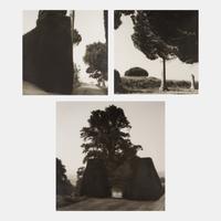 Topiaries and Planter, Knightshayes Court, Devon, England , 1991; Tree and Column, Ostia Antiqua, Italy , 1990; and Tree and Hedge, Villa Gamberaia, Settignano, Italy , 1990 (Three Works)