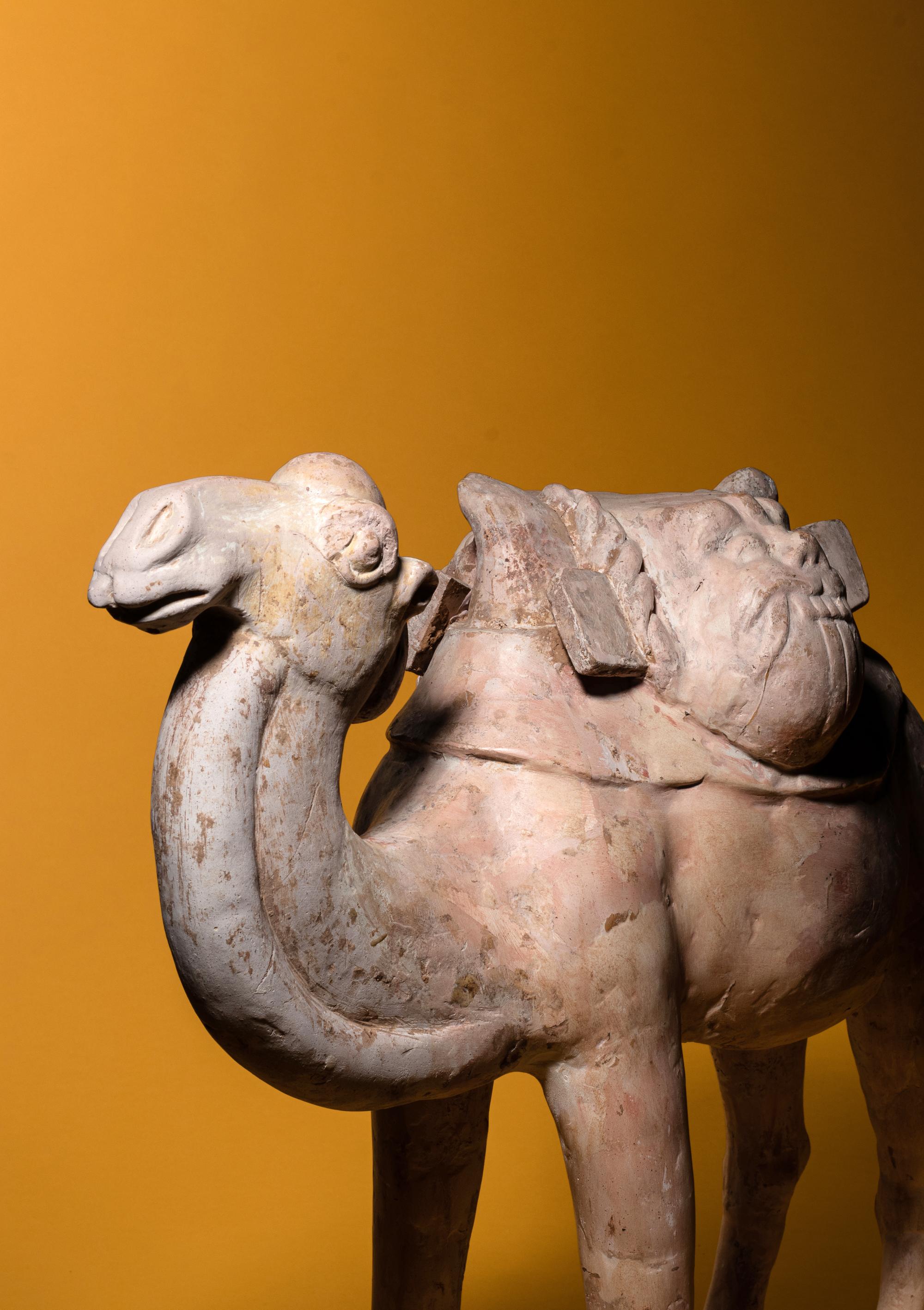 A Painted Pottery Figure of a Camel