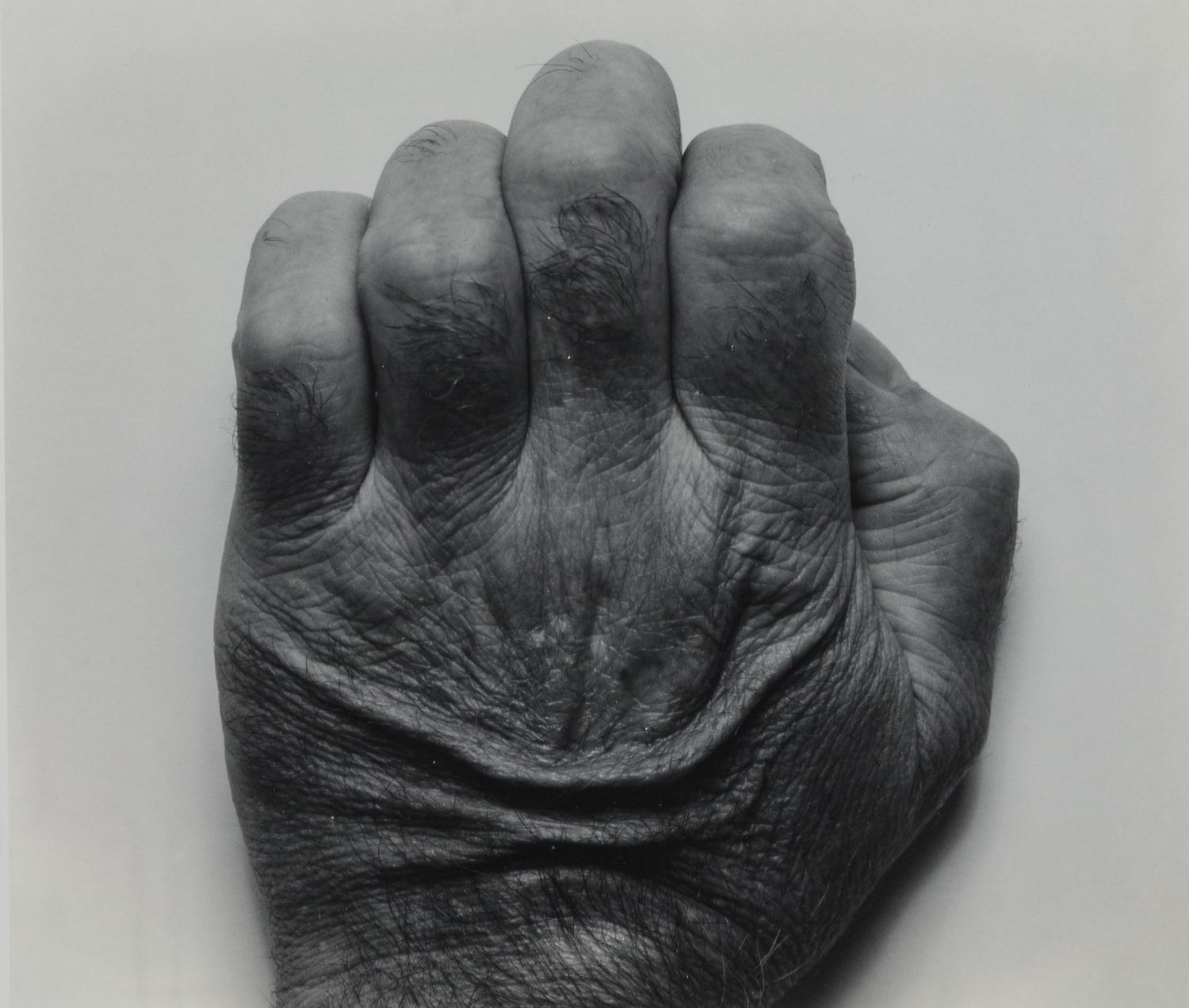 Self Portrait, Back of Hand