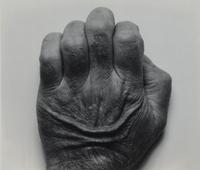 Self Portrait, Back of Hand