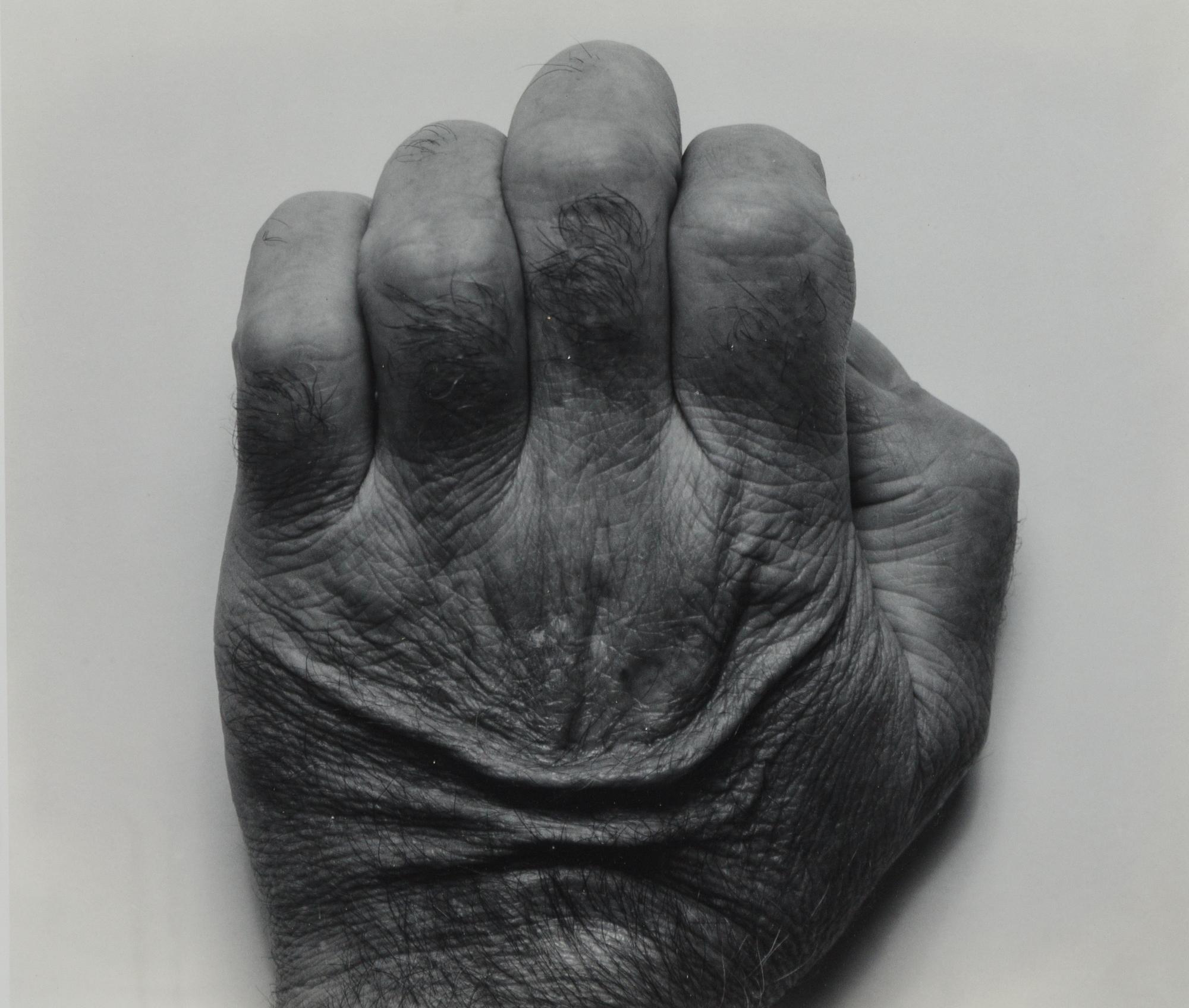 Self Portrait, Back of Hand