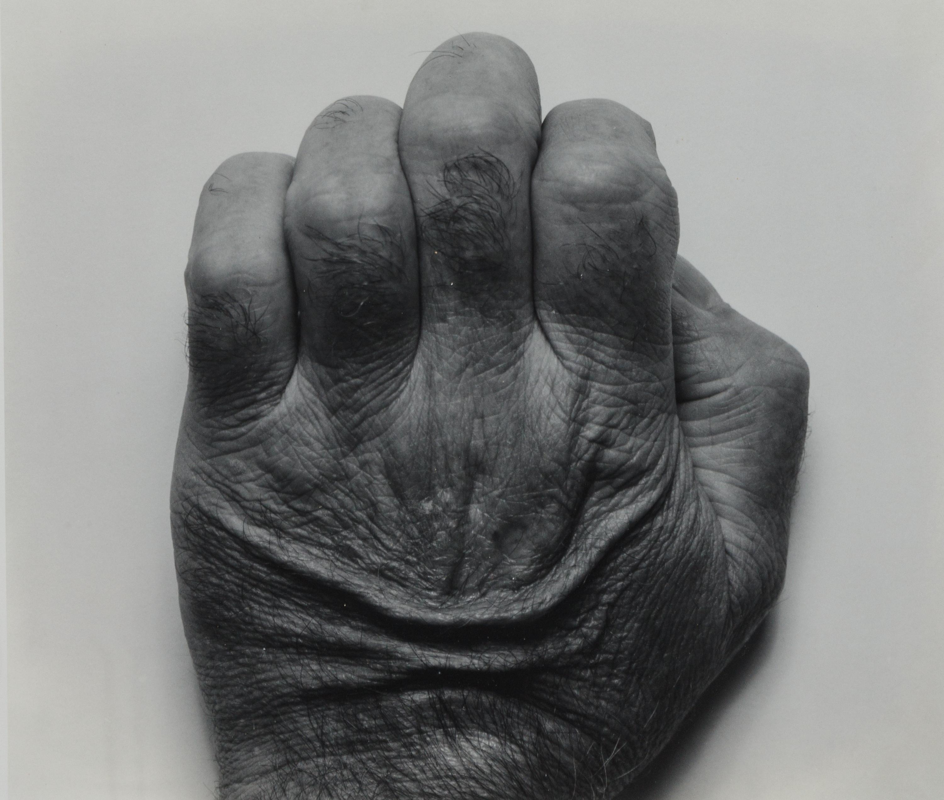 Self Portrait, Back of Hand