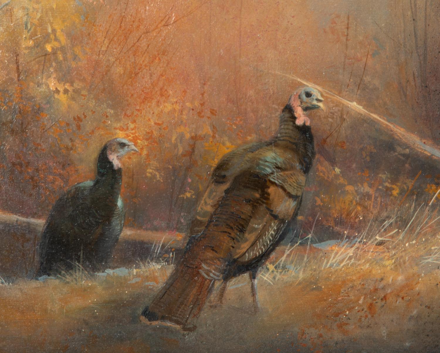 Tranquil Turkey
