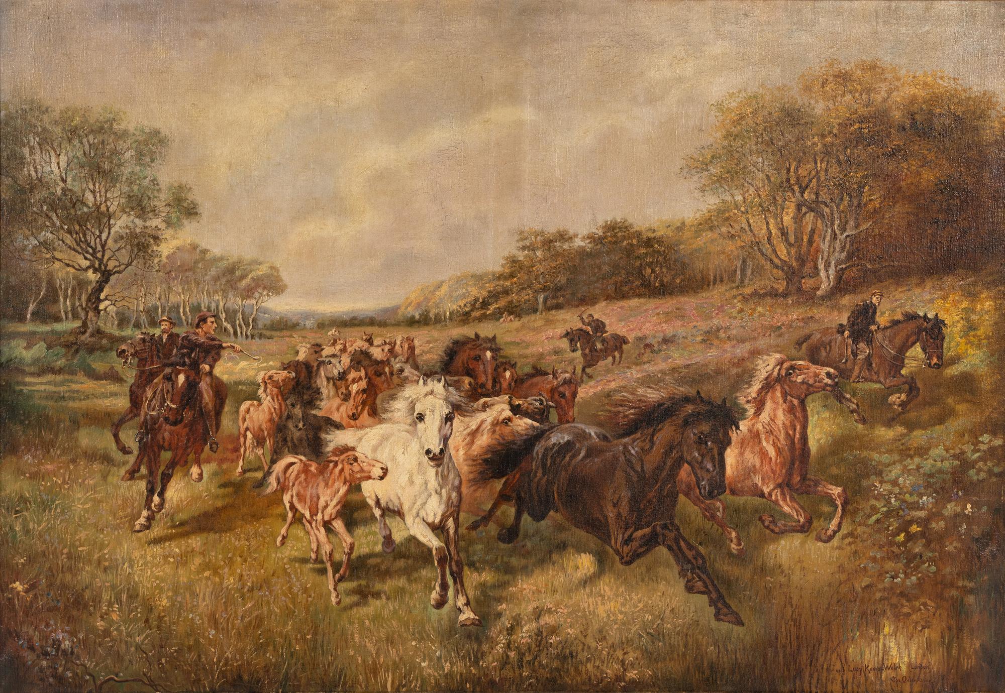 Wild Horses