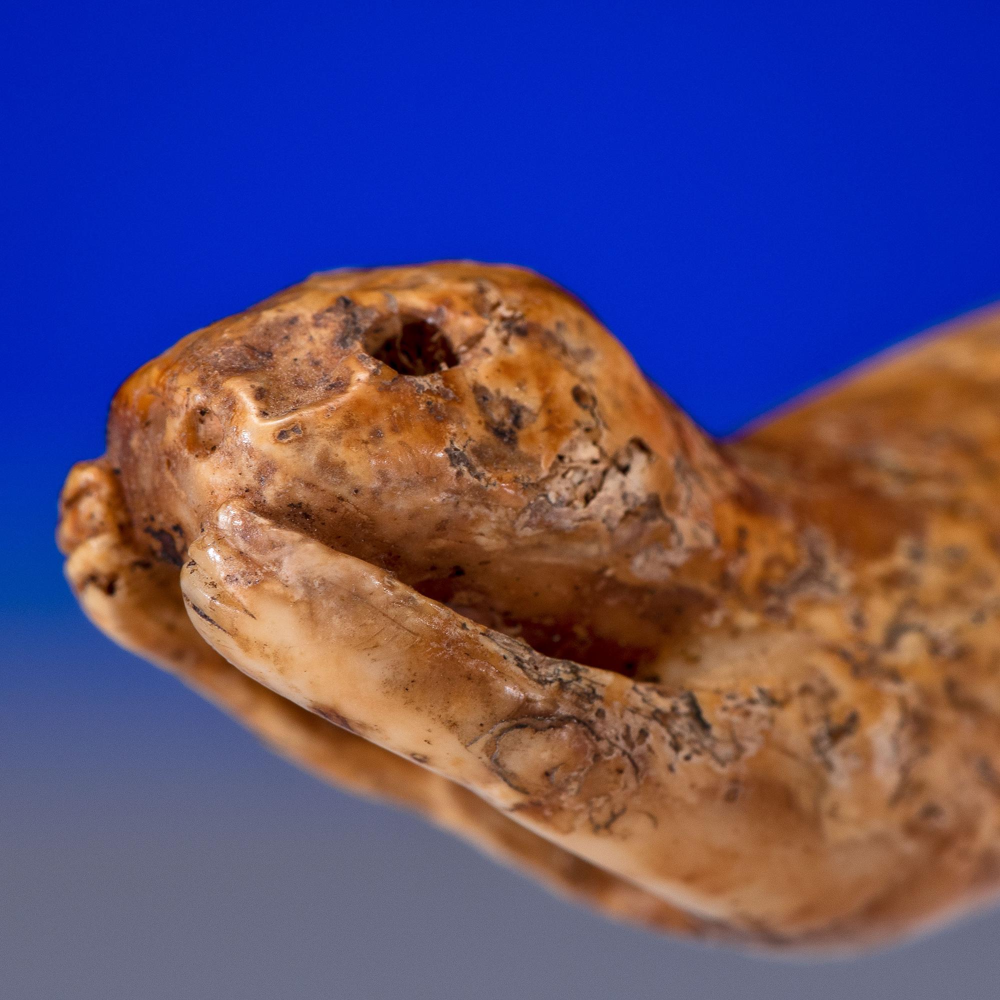 Iñupiat Fossilized Walrus Ivory Toggles