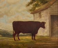 W.P. Chapman (English 19th Century) 1871 — Two works: Portraits of Prized Cows