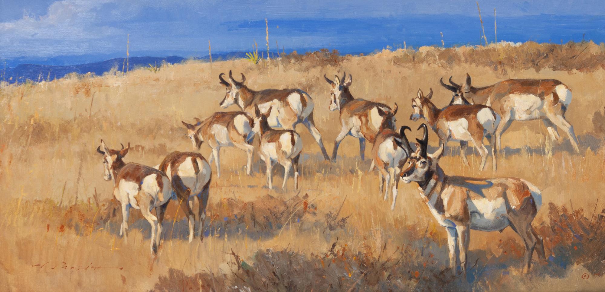 Driving the Herd