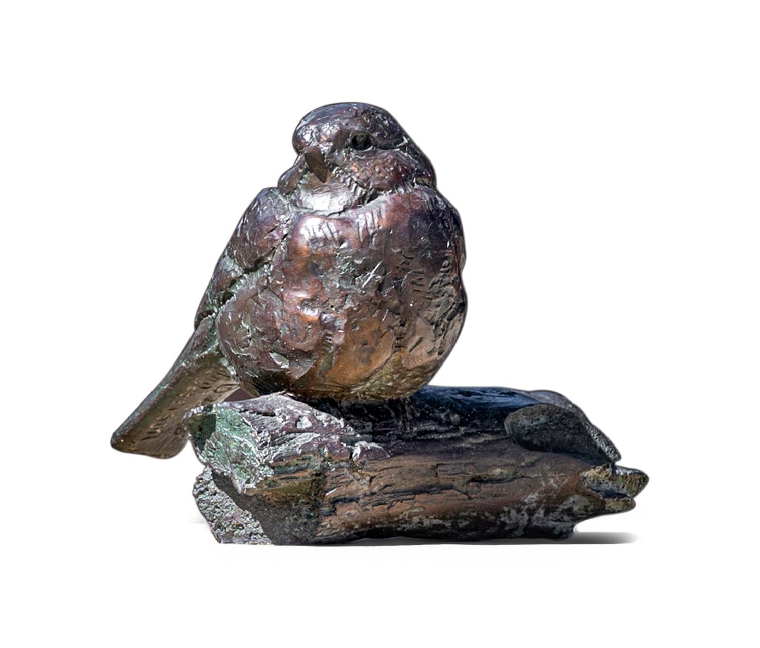 Mountain Chickadee , edition 4/25
