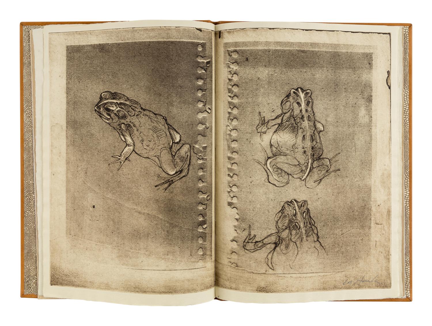 [SOBOTA, Jan (1939-2012), binder]. HANKA, Ladislav (b. 1952). Toads . Kalamazoo: [N.p.], 2005.
