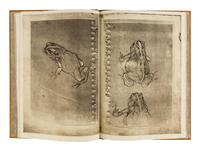[SOBOTA, Jan (1939-2012), binder]. HANKA, Ladislav (b. 1952). Toads . Kalamazoo: [N.p.], 2005.