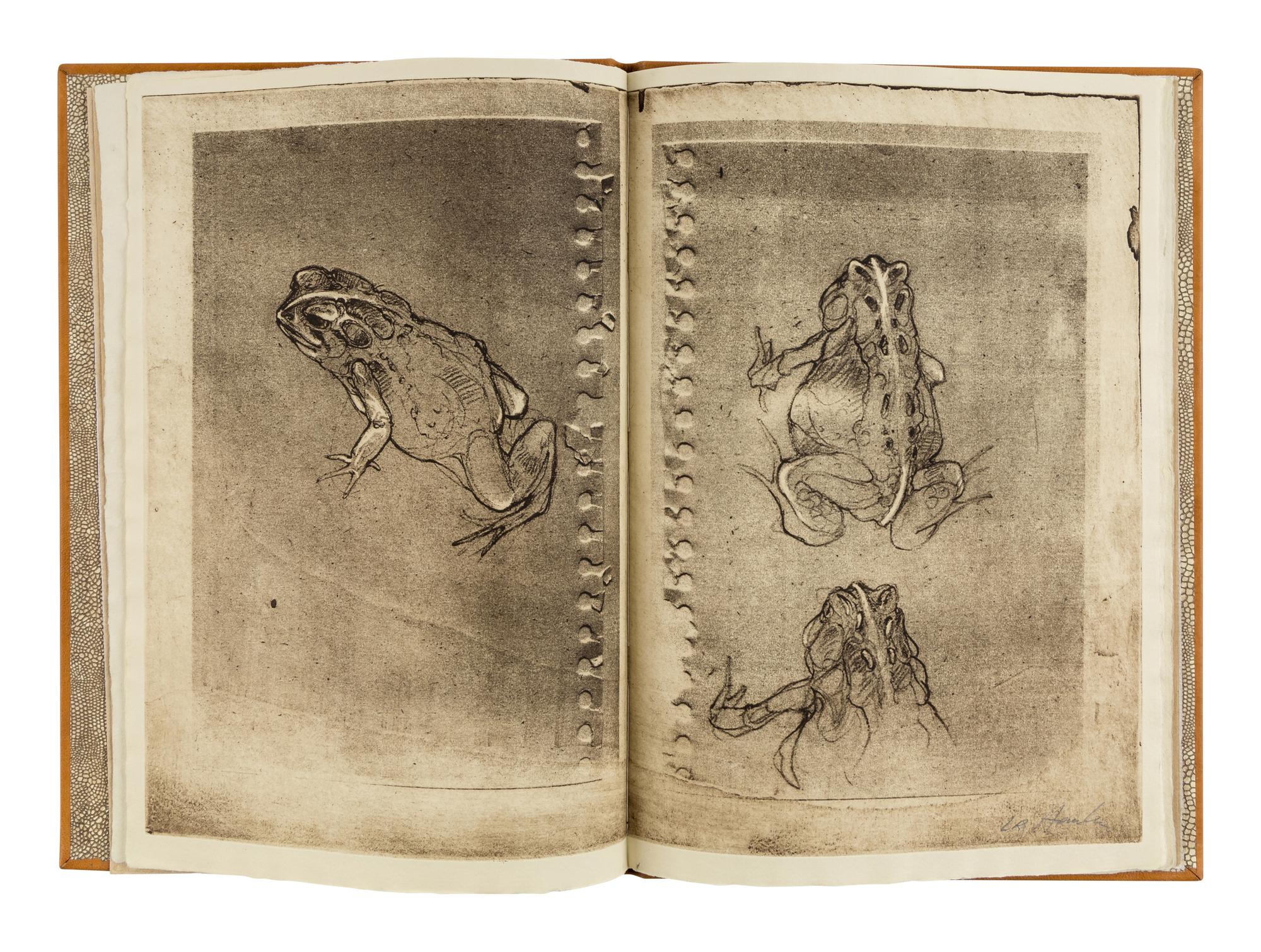 [SOBOTA, Jan (1939-2012), binder]. HANKA, Ladislav (b. 1952). Toads . Kalamazoo: [N.p.], 2005.