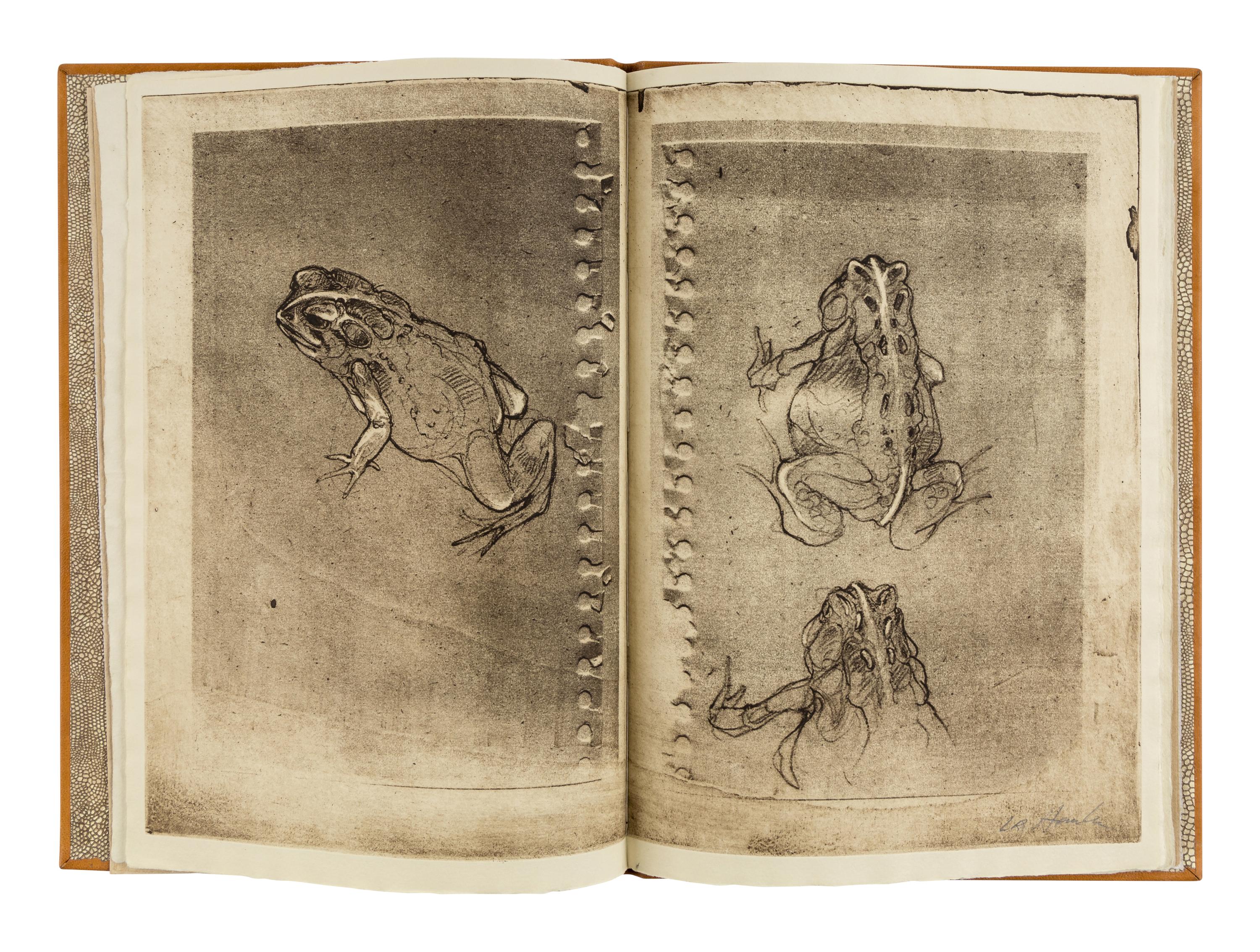 [SOBOTA, Jan (1939-2012), binder]. HANKA, Ladislav (b. 1952). Toads . Kalamazoo: [N.p.], 2005.