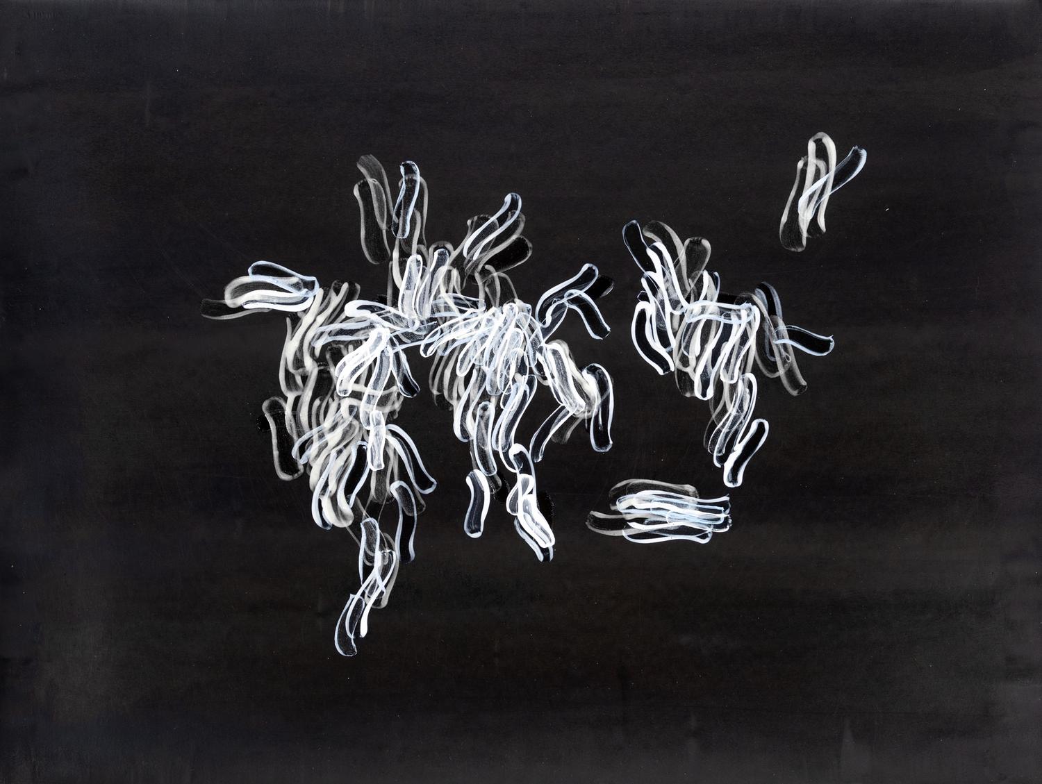 Hedge and Hedge (A Pair of Works), 2007