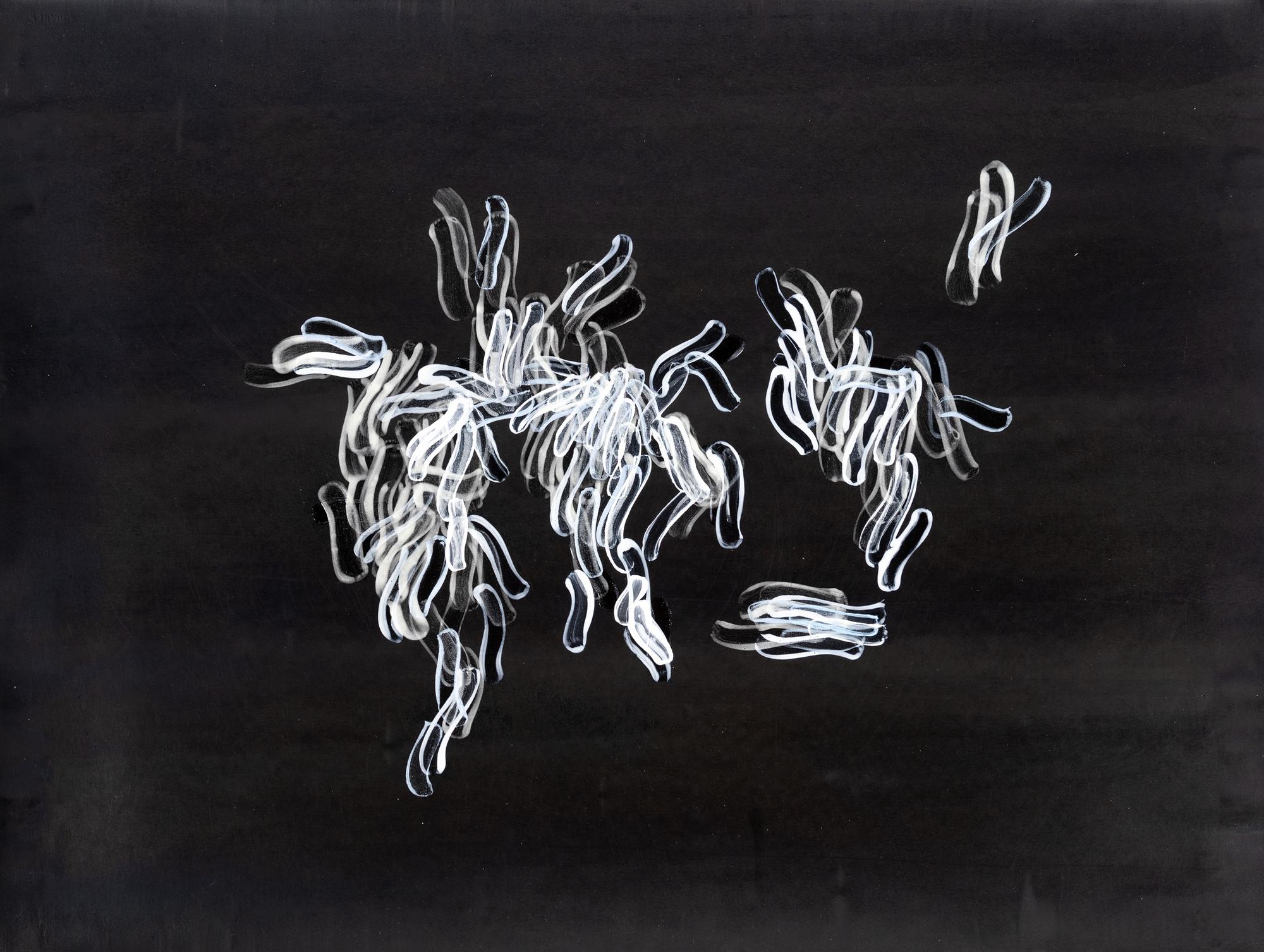 Hedge and Hedge (A Pair of Works), 2007