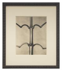 A Set of 8 Botanical Prints
