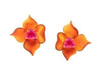 Tiffany & Co, Paloma Picasso, Pink Tourmaline and Carnelian Earclips