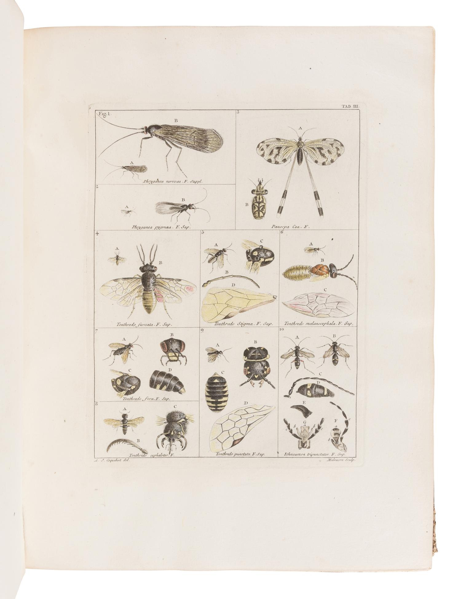 COQUEBERT, Antoine Jean (1753-1825). Illustratio Iconographica Insectorum … Paris: Typis Petri Didot, [1798/9]-1804.