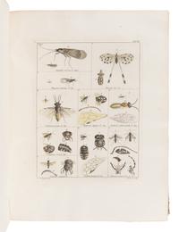COQUEBERT, Antoine Jean (1753-1825). Illustratio Iconographica Insectorum … Paris: Typis Petri Didot, [1798/9]-1804.