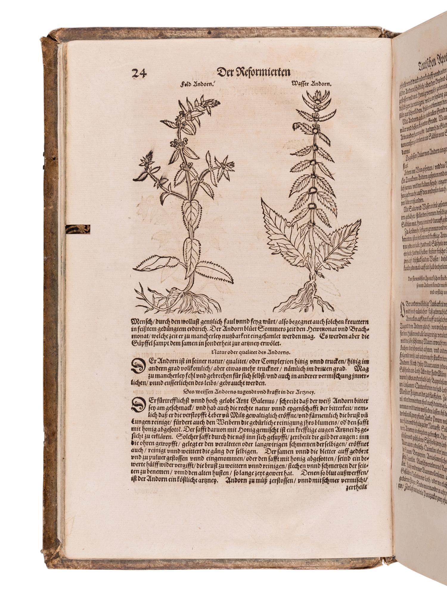 RYFF, Walther Hermann (ca 1500-1548). Newe aussgerüeste Deutsche Apoteck: darinnen aller fürnemsten, und gebraulichtsten einfachen Artzneyen, als Kraütter, Gewürtz, Mineralien.. . Niklaus Ager, translator. Strassburg: Lazari Zetzners, 1602.