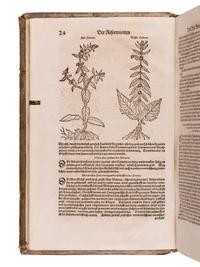 RYFF, Walther Hermann (ca 1500-1548). Newe aussgerüeste Deutsche Apoteck: darinnen aller fürnemsten, und gebraulichtsten einfachen Artzneyen, als Kraütter, Gewürtz, Mineralien.. . Niklaus Ager, translator. Strassburg: Lazari Zetzners, 1602.