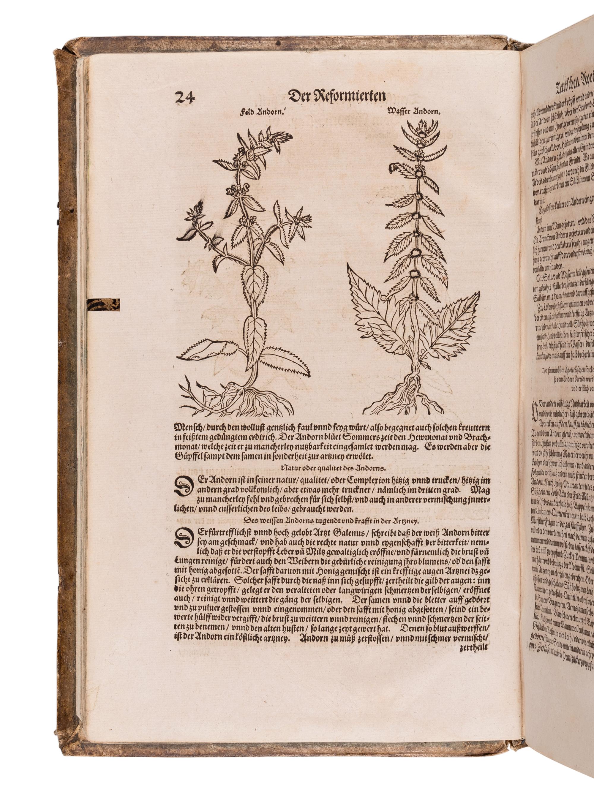 RYFF, Walther Hermann (ca 1500-1548). Newe aussgerüeste Deutsche Apoteck: darinnen aller fürnemsten, und gebraulichtsten einfachen Artzneyen, als Kraütter, Gewürtz, Mineralien.. . Niklaus Ager, translator. Strassburg: Lazari Zetzners, 1602.