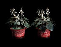 A Pair of Chinese Cinnabar Lacquer Jardinières with Jade and Hardstone Trees