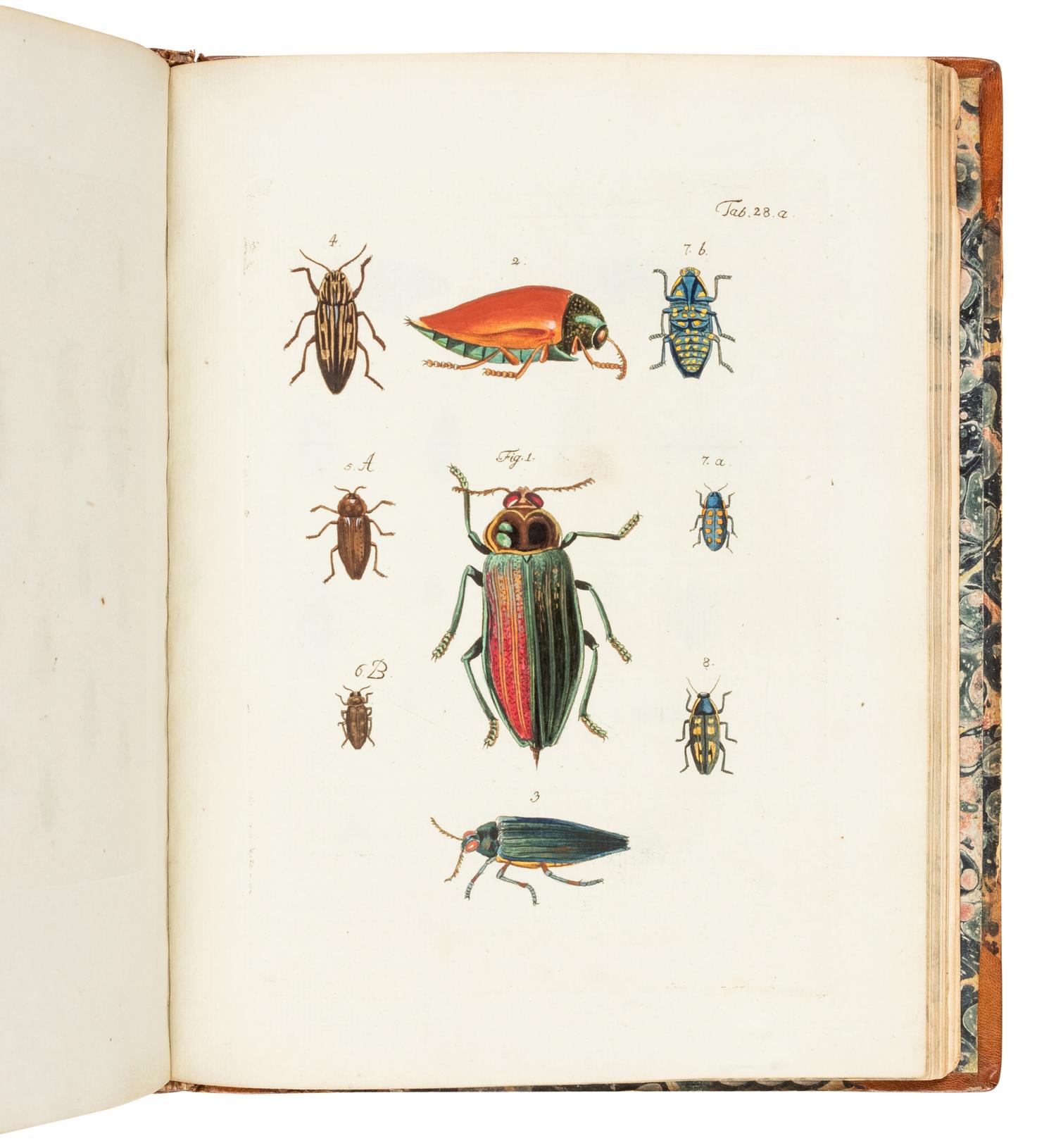 FUESSLI, Johann Caspar (1742-86). Archives de l'histoire des insectes . Winterthur: J. Ziegler, 1794.