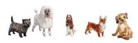 Five Royal Doulton Porcelain Figures Width of widest 6 1/2 inches. — 20TH CENTURY